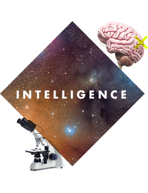 Carousel intelligence